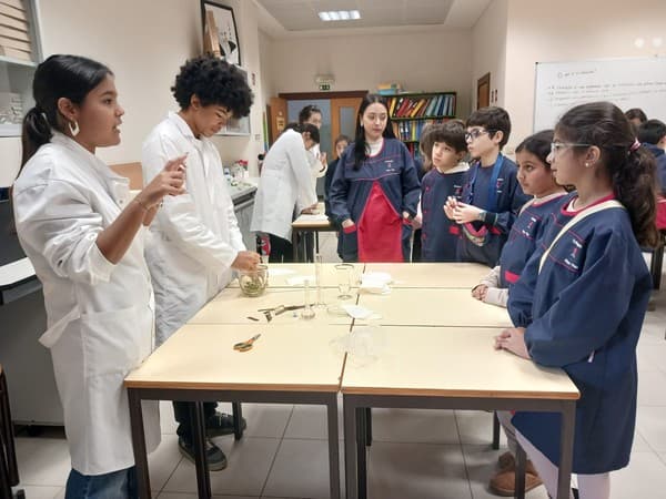 “Embaixadores da Ciência” recebem alunos de várias escolas básicas do nosso Concelho — foto 6