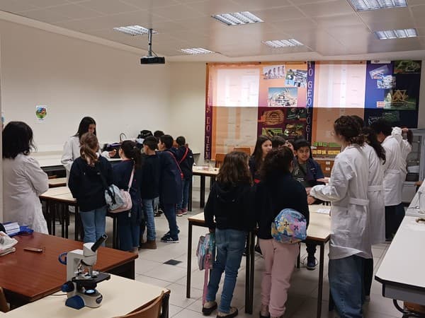 “Embaixadores da Ciência” recebem alunos de várias escolas básicas do nosso Concelho — foto 5
