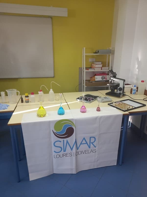 SIMAR dinamizam workshop no âmbito da Semana da Ciência — foto 3
