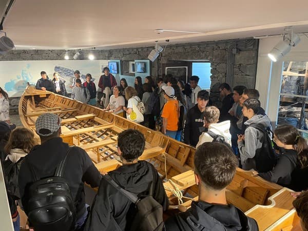 Turmas do 9.º ano à descoberta do Pico e do Faial — foto 2