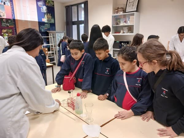“Embaixadores da Ciência” recebem alunos de várias escolas básicas do nosso Concelho — foto 9