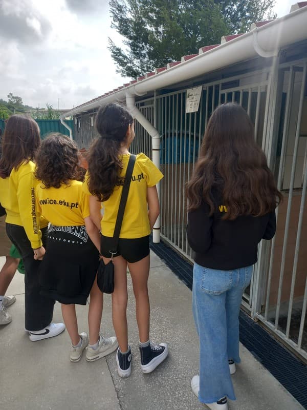 ICE em ação solidária no Parque dos Bichos — foto 3
