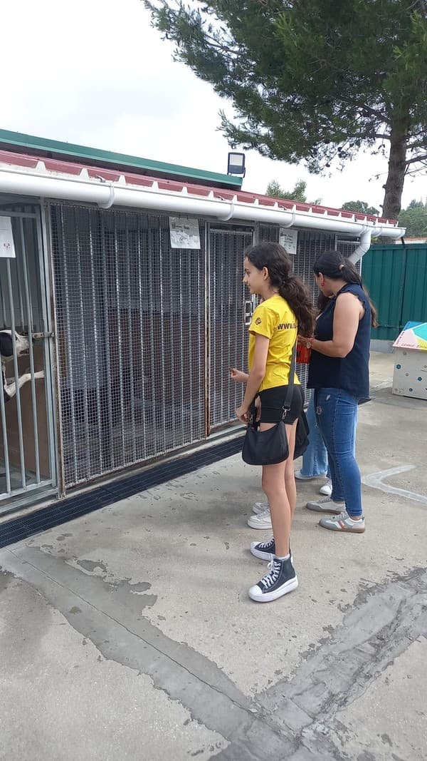ICE em ação solidária no Parque dos Bichos — foto 2
