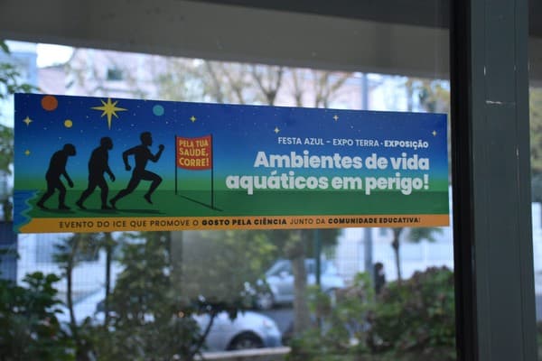 Dia do Mar dá início à Festa Azul no ICE — foto 31