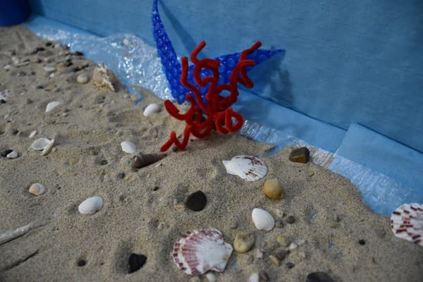 Dia do Mar dá início à Festa Azul no ICE — foto 6