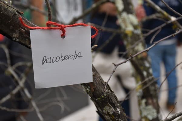 Exposição “A Árvore e a Poesia” na abertura do Festival das Artes Criativas do ICE — foto 37