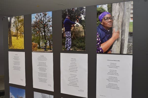 Exposição “A Árvore e a Poesia” na abertura do Festival das Artes Criativas do ICE — foto 32