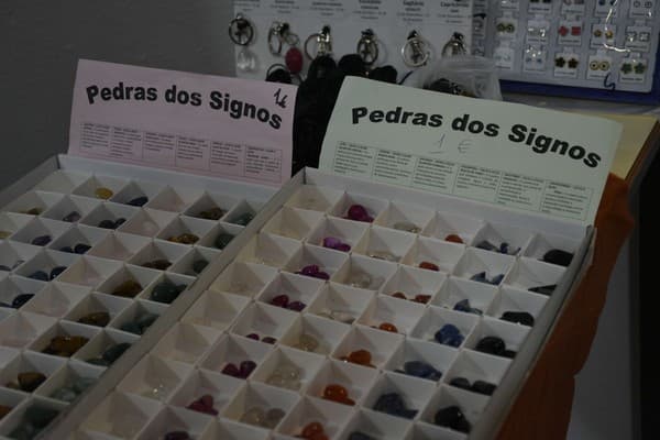 Expoterra começa com viagem pelo Universo — foto 5