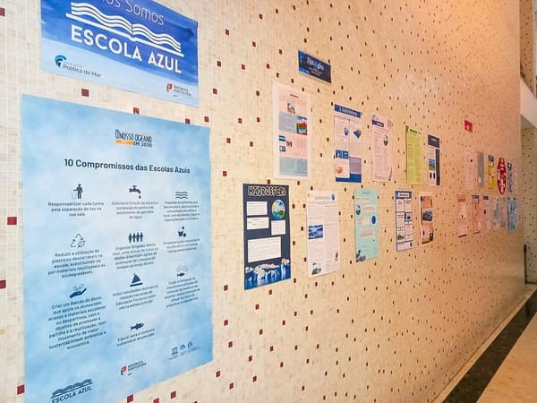ICE assinala Dia Nacional do Mar com exposição temática — foto 4