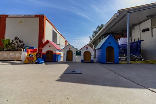 ICE promove nova ação solidária no Parque dos Bichos — foto 3