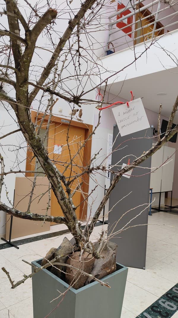 Exposição “A Árvore e a Poesia” na abertura do Festival das Artes Criativas do ICE — foto 17