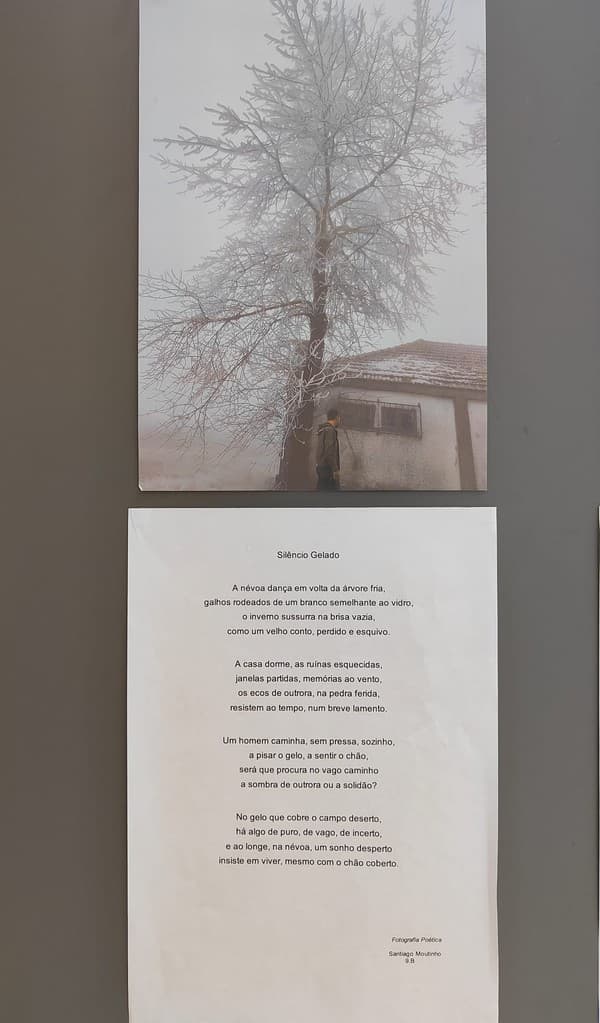 Exposição “A Árvore e a Poesia” na abertura do Festival das Artes Criativas do ICE — foto 16