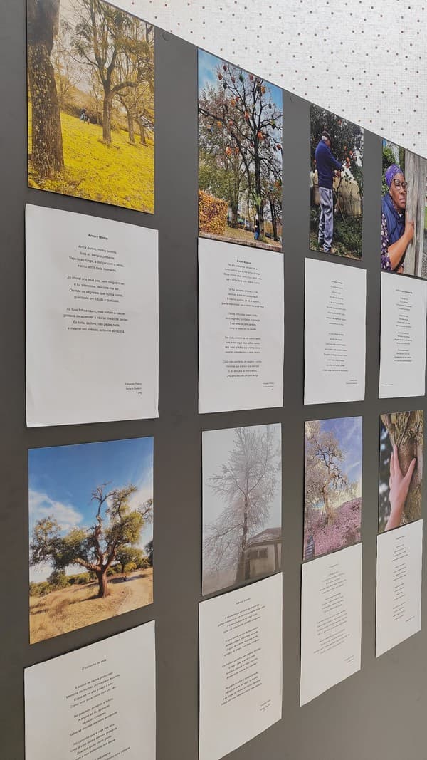 Exposição “A Árvore e a Poesia” na abertura do Festival das Artes Criativas do ICE — foto 14