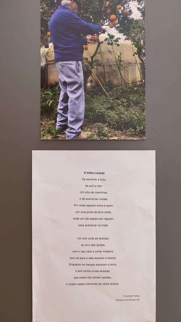 Exposição “A Árvore e a Poesia” na abertura do Festival das Artes Criativas do ICE — foto 12