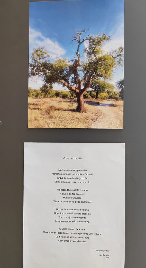 Exposição “A Árvore e a Poesia” na abertura do Festival das Artes Criativas do ICE — foto 10