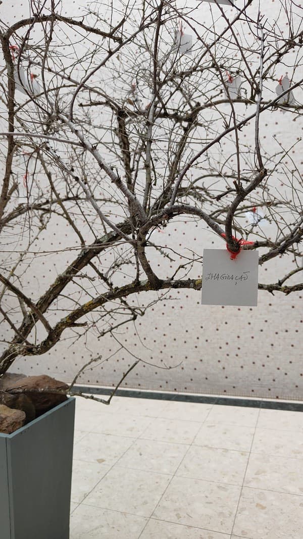 Exposição “A Árvore e a Poesia” na abertura do Festival das Artes Criativas do ICE — foto 7