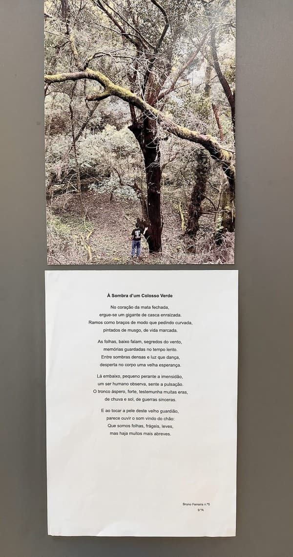 Exposição “A Árvore e a Poesia” na abertura do Festival das Artes Criativas do ICE — foto 6
