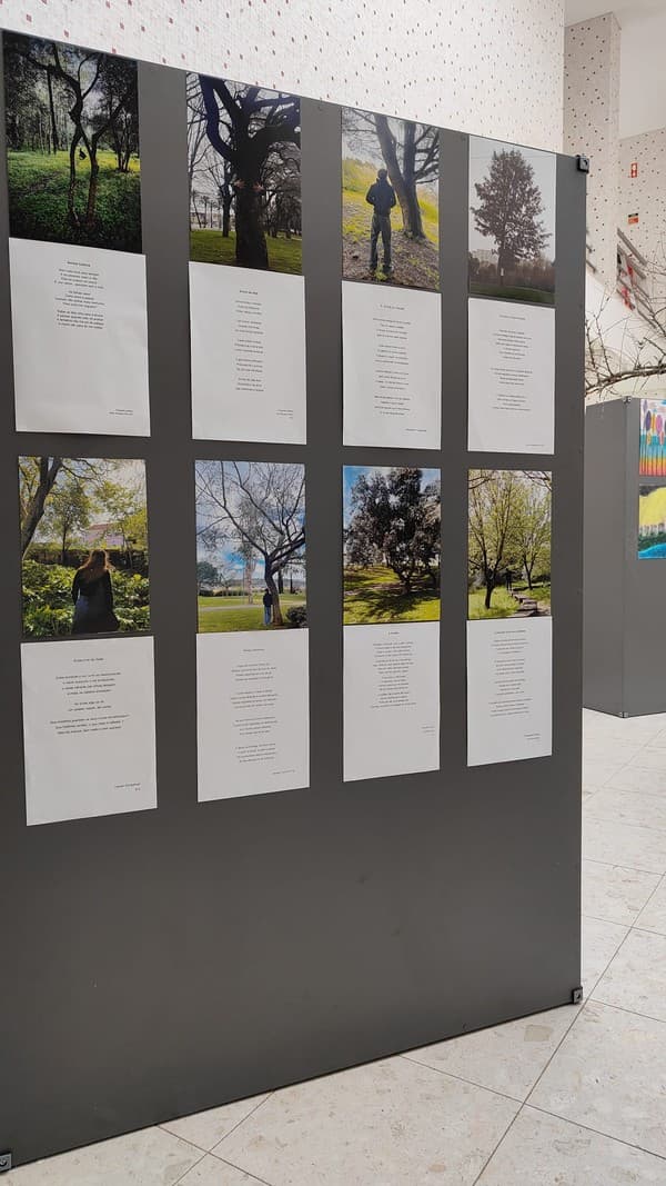 Exposição “A Árvore e a Poesia” na abertura do Festival das Artes Criativas do ICE — foto 5