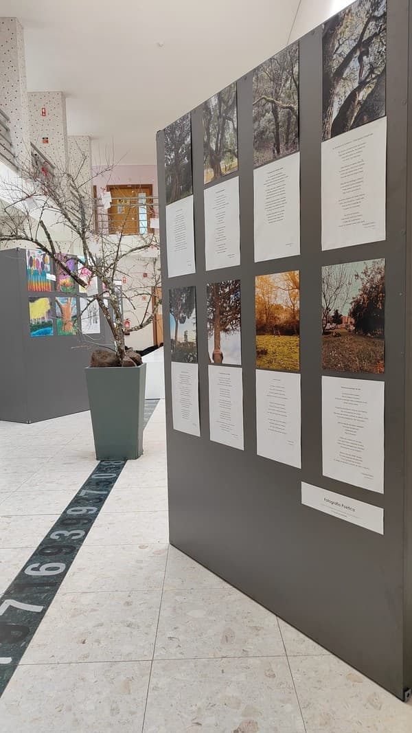 Exposição “A Árvore e a Poesia” na abertura do Festival das Artes Criativas do ICE — foto 3