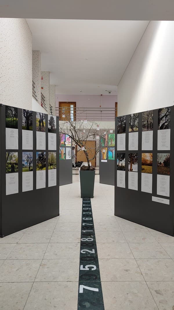 Exposição “A Árvore e a Poesia” na abertura do Festival das Artes Criativas do ICE — foto 2