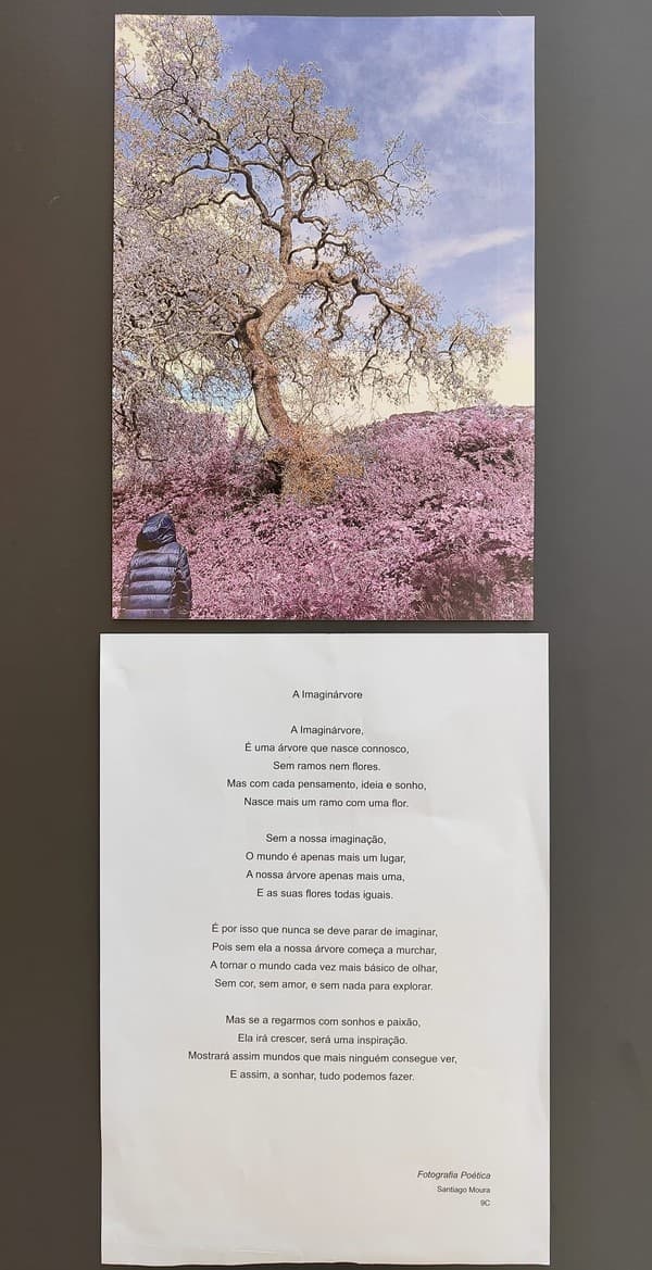 Exposição “A Árvore e a Poesia” na abertura do Festival das Artes Criativas do ICE — foto 1
