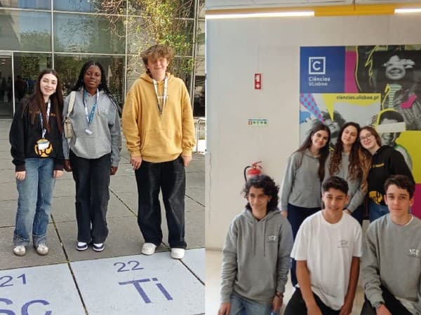 ICE participa nas fases regionais das Olimpíadas de Química Júnior e Física
