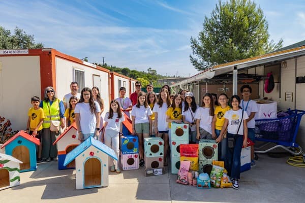 ICE promove nova ação solidária no Parque dos Bichos