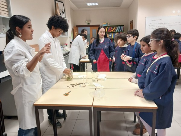 “Embaixadores da Ciência” recebem alunos de várias escolas básicas do nosso Concelho — foto 6