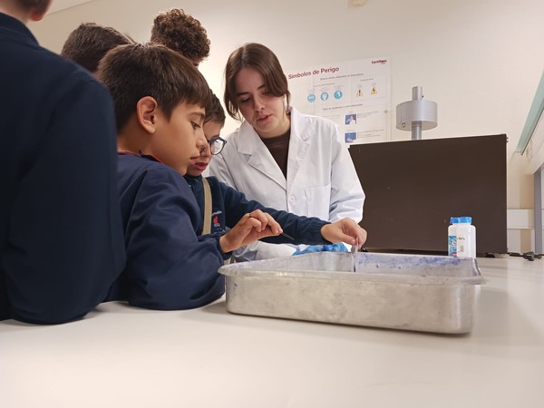 “Embaixadores da Ciência” recebem alunos de várias escolas básicas do nosso Concelho — foto 11