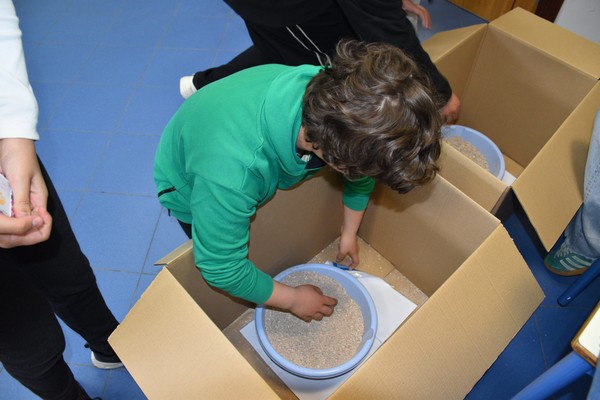 ICE celebra o Dia da Escola Azul — foto 28