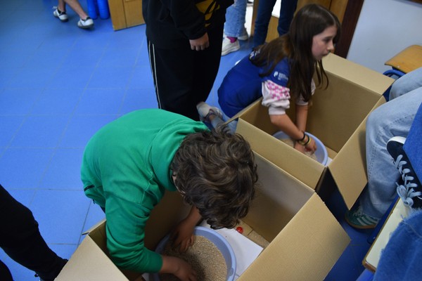 ICE celebra o Dia da Escola Azul — foto 27