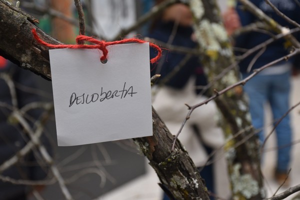 Exposição “A Árvore e a Poesia” na abertura do Festival das Artes Criativas do ICE — foto 37