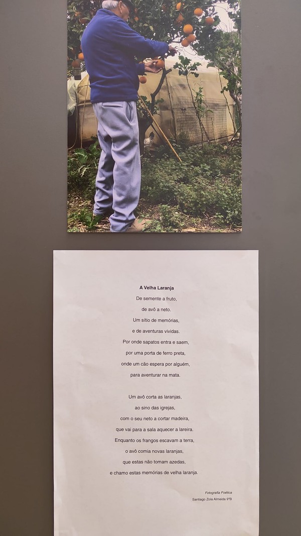 Exposição “A Árvore e a Poesia” na abertura do Festival das Artes Criativas do ICE — foto 12