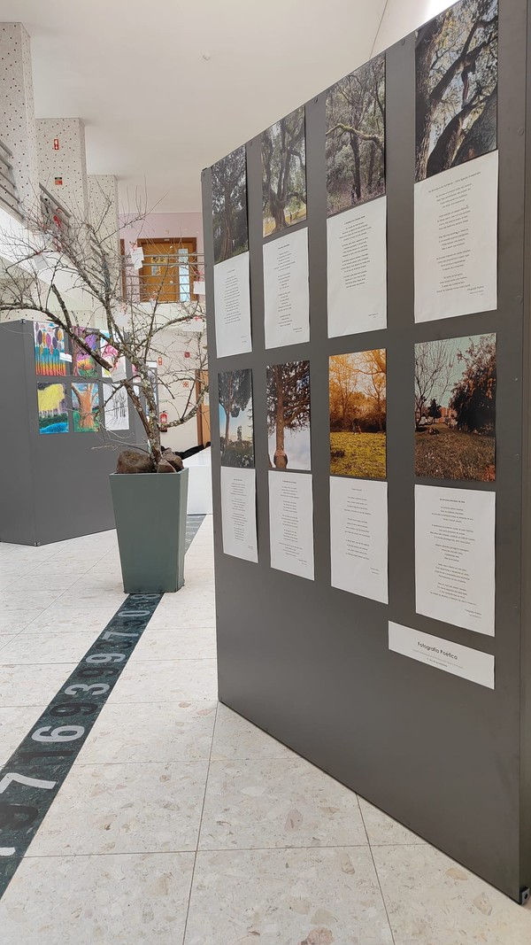 Exposição “A Árvore e a Poesia” na abertura do Festival das Artes Criativas do ICE — foto 3