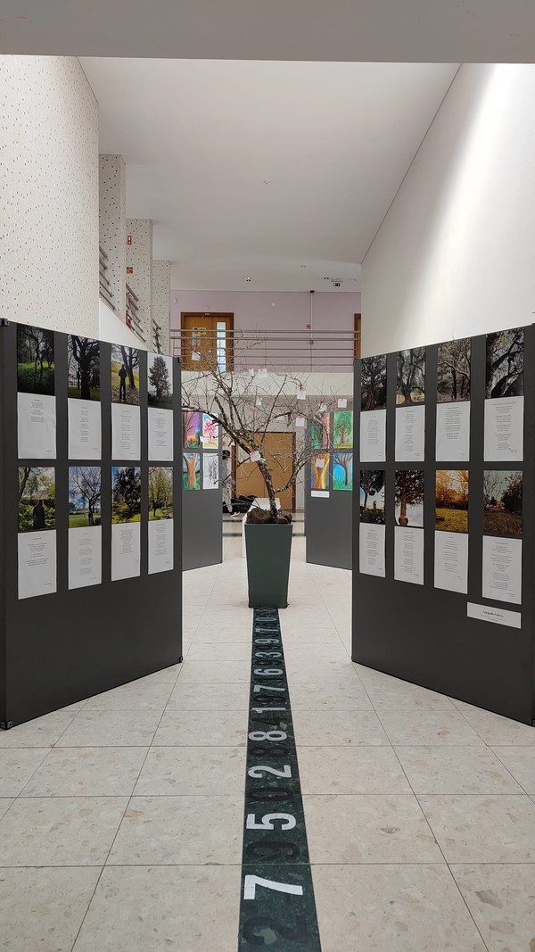 Exposição “A Árvore e a Poesia” na abertura do Festival das Artes Criativas do ICE — foto 2