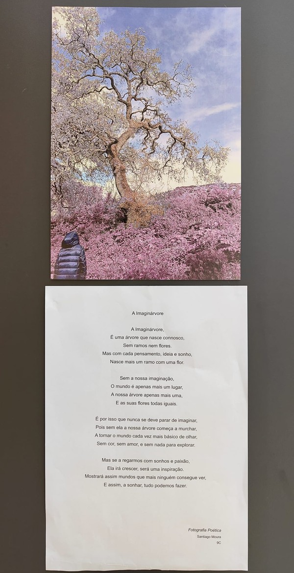 Exposição “A Árvore e a Poesia” na abertura do Festival das Artes Criativas do ICE — foto 1