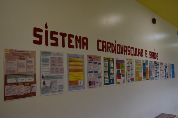 Semana da Atividade Física e da Saúde chegou ao fim — foto 4